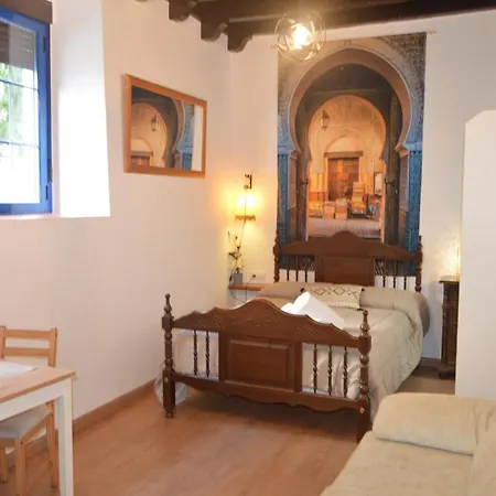 Alcazar Viejo Parking Tourist *