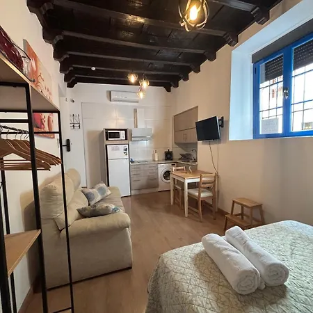 Apartamento Alcazar Viejo Parking Tourist *
