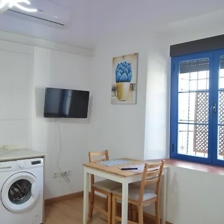 Alcazar Viejo Parking Tourist